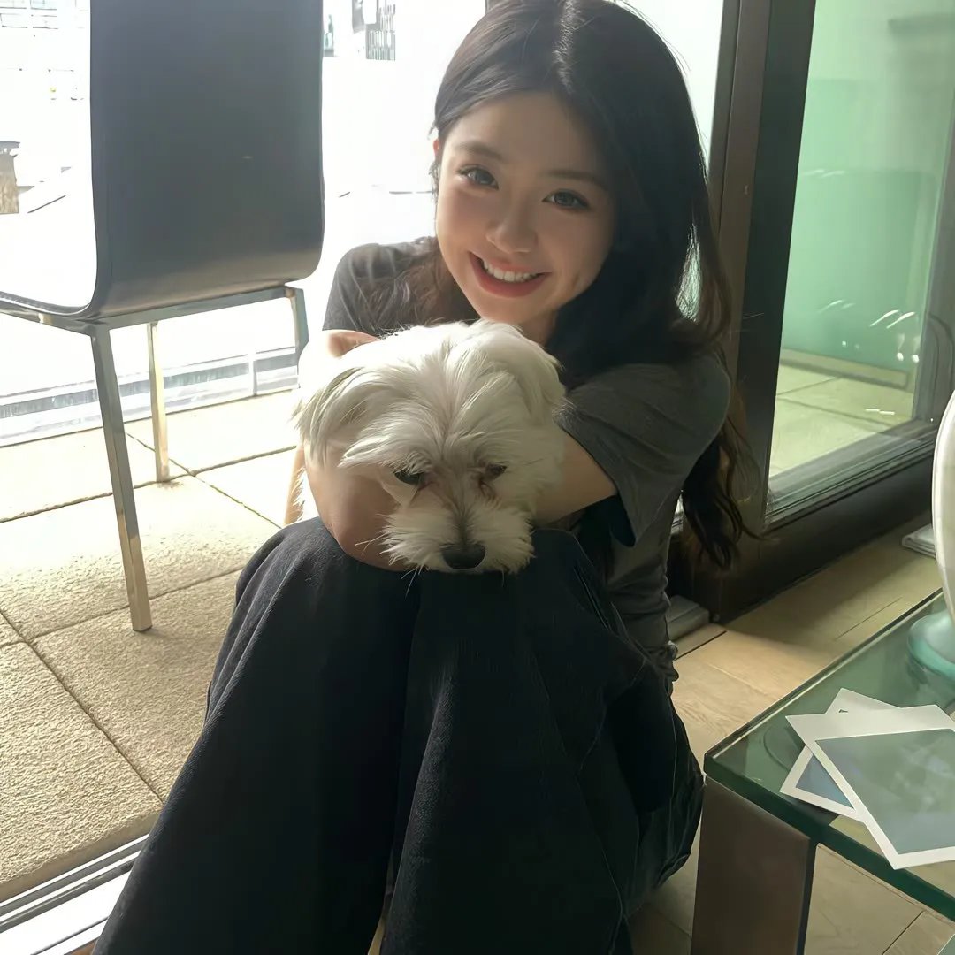 苦茶香
