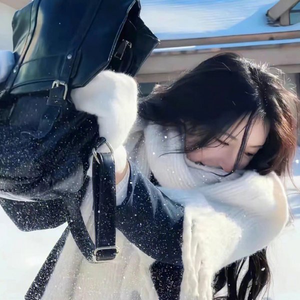 泡影昙花